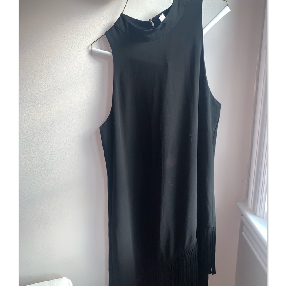 Naked Zebra fringe dress